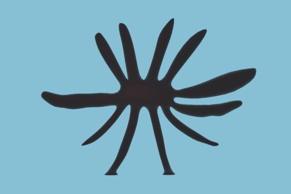 Кракен маркет darknet